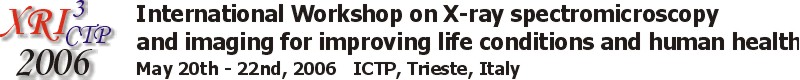 International Workshop on X-ray Spectromicroscopy and Imaging